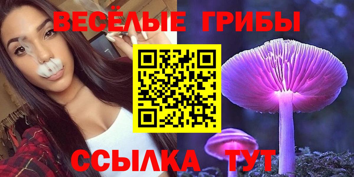 Псилоцибиновые грибы GOLDEN TEACHER Севастополь