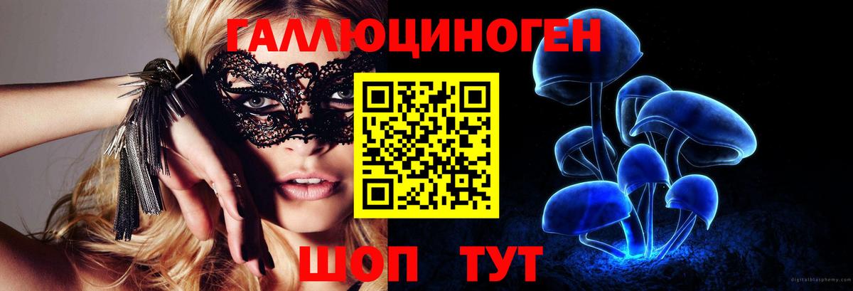 Псилоцибиновые грибы Magic Shrooms  Вход с VPN  Севастополь  дарнет шоп  Псилоцибиновые грибы Psilocybe 